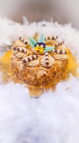 Gâteaux mix (237)
