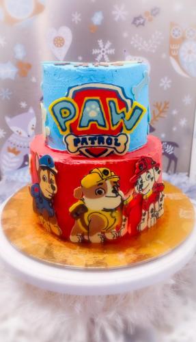Thème Pat'patrouille