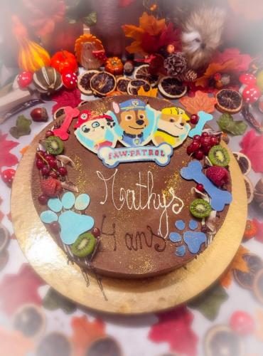 Thème Pat' patrouille