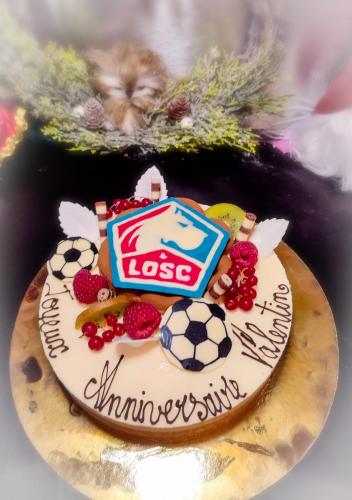 Thème LOSC